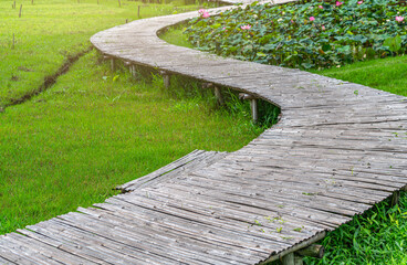 Garden path way which made of bamboo tree. Curve of walkway in garden, perspective view, day light image..
