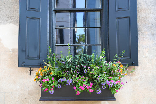Fototapeta Classic Window Box With Dark Shuttered Window