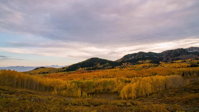 Time-lapse over aspen trees during Fall at Wasatch Mountain State Park in Utah from Bonanza Flats.