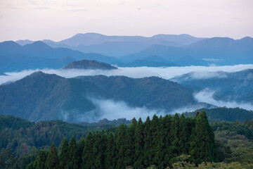 雲海