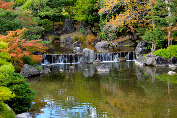 日本庭園　池ともみじの木々