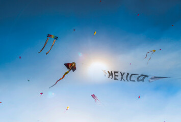 PAPALOTES MEXICO
