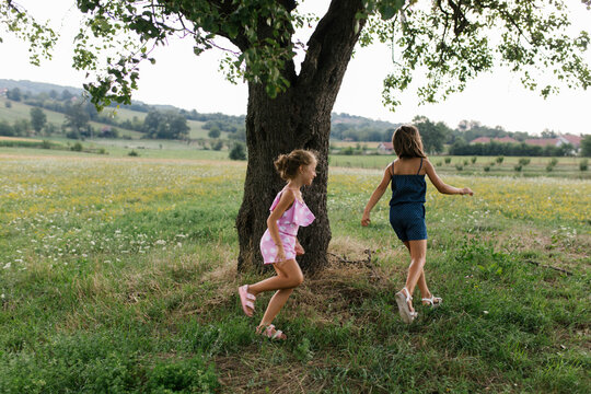 Girls run around the tree in a meadow