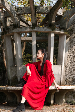 Woman In A Long Red Dress