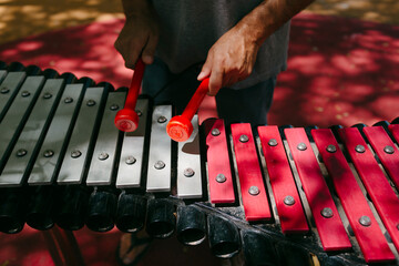 Man's hands playing xylophone