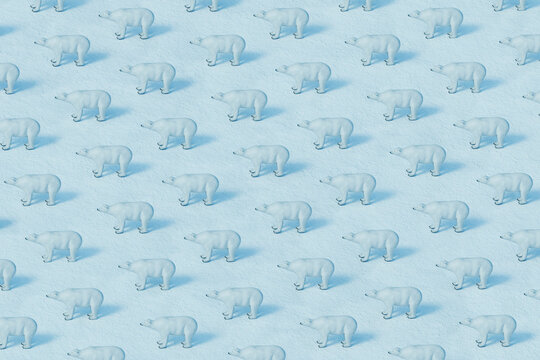 Polar Bears