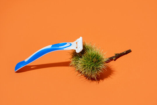 shaving nuts