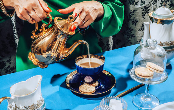 Stylish female at tea time/party