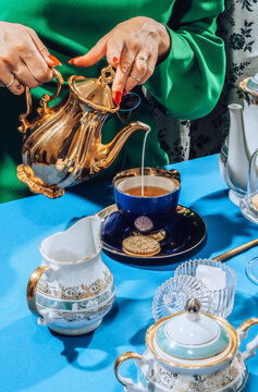 Stylish female at tea time/party