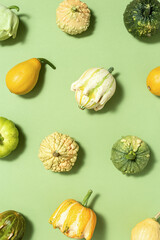 Pumpkins pattern, decorative diverse pumpkin, squash, patisson on green background