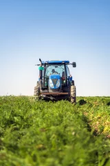Zelfklevend Fotobehang harvesting carrots by a tractor © imphilip