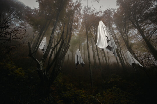 Ghosts flying in the middle of the forest