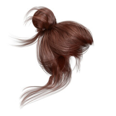 Contemporary Updo on isolated white background, 3d render, 3d illustration