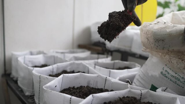 slow motion preparing organic soil for planting vegetable at home 
