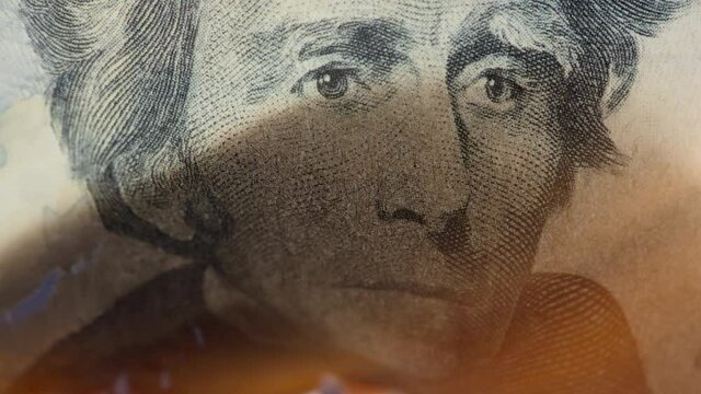 US twenty-dollar bill slowly burns and tears, close up
