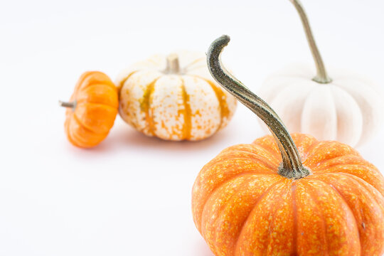 A view of small decoration pumpkins and autumn leaves, on a white background.