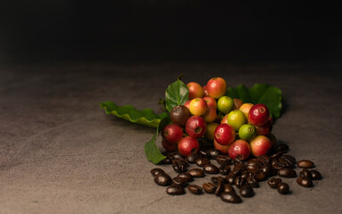 coffee beans and red ripe coffee Isolated on dark background.