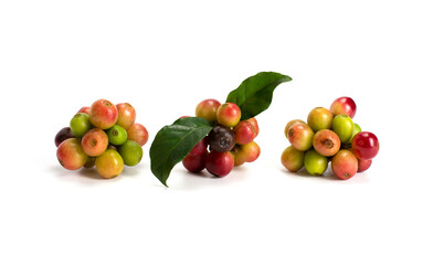 fresh coffee beans isolated on white background.