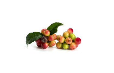 fresh coffee beans isolated on white background.