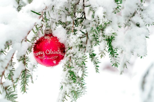 Vintage Christmas ornament hanging from a snow covered tree