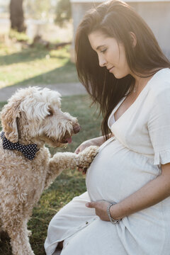 pregnant woman and her dog