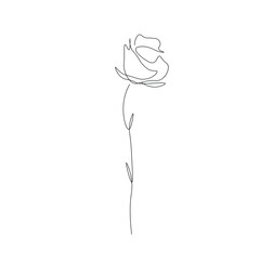 Rose flower silhouette line drawing on white background, vector illustration