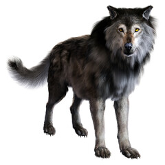 Dire wolf on isolated background, 3D illustration, 3D rendering