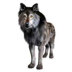 Dire wolf on isolated background, 3D illustration, 3D rendering