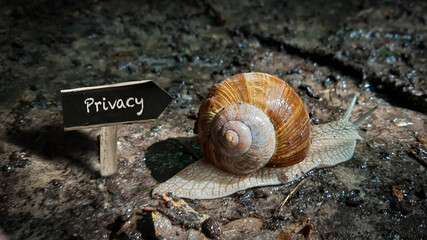 Street Sign to Privacy