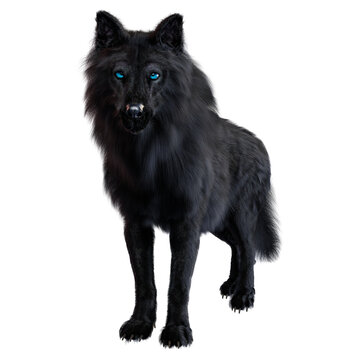 Dire wolf on isolated background, 3D illustration, 3D rendering © Author's Assembler