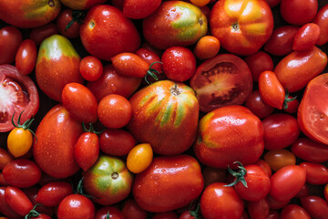 Fresh tomatoes