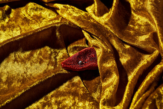 amputated tongue with a piercing