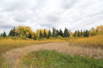 Autumn In The Wetlands, Gold Bar Park, Edmonton, Alberta