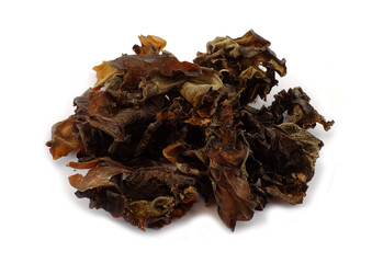 ear mushroom on white background