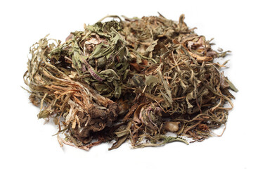 white background dry dried Dandelion stem
          