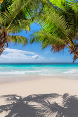 Coco palms in tropical white sand beach and blue sea. Summer vacation and tropical beach concept.	