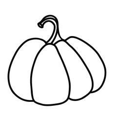 pumpkin linear graphic design. Black and white image of vegetables.