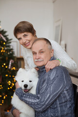 happy senior couple hugging dog  Samoyed husky sitting on sofa  at home. Christmas at home