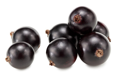 black currant isolated on white background. macro. clipping path