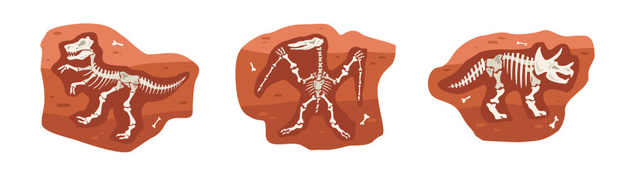 Archaeological finds with dinosaurs skeletons, flat vector illustration isolated. © Kudryavtsev