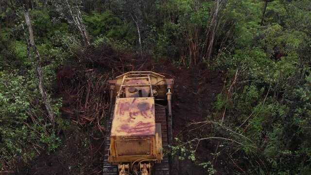 aerial of bulldozer clearing in Hawaii