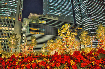 名古屋駅前ビルの夜景とクリスマスイルミネーション
