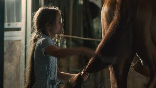 Girl brushing horse tail in stable