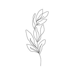 One Line Vector Drawing of Leaves Branch. Botanical Modern Single Line Art, Aesthetic Contour. Perfect for Home Decor, Wall Art Posters, or t-shirt Print, Mobile Case. Continuous Line Drawing