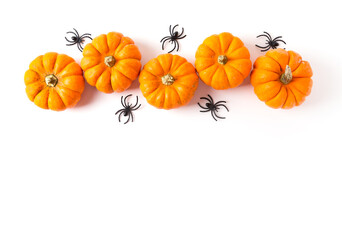 Pumpkins and spiders on a white background. Halloween decorations. Copy space.