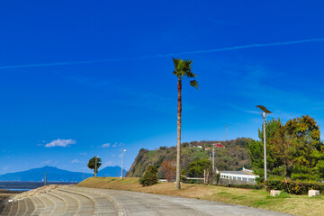 Obraz premium Flying machine clouds and palm trees