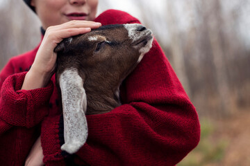 A boy in a red sweater hugs a goat.