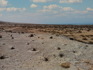 Sunny winter day on a hot tropical island of Boa Vista, Cape Verde. African climate in a dry desert. Selective focus on the horizon, blurred background.