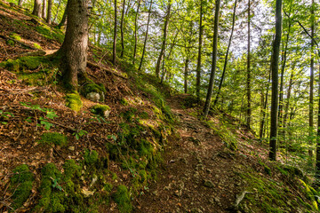 Wonderful autumn hike near Beuron in the Upper Danube Nature Park