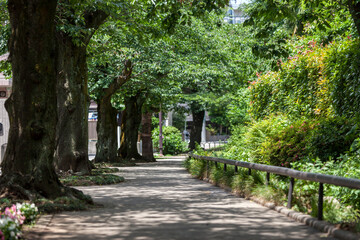 北沢川緑道（東京都世田谷区）